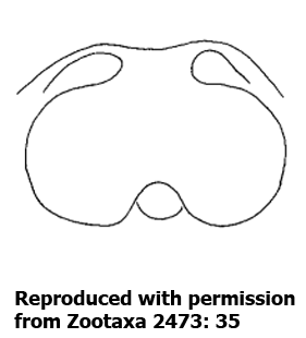 speciesimage
