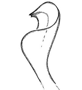 speciesimage