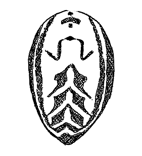 speciesimage