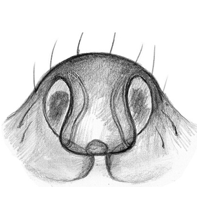 speciesimage