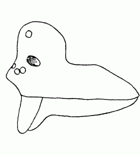speciesimage