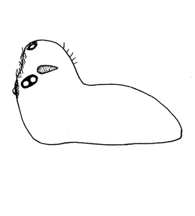 speciesimage