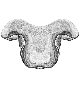 speciesimage