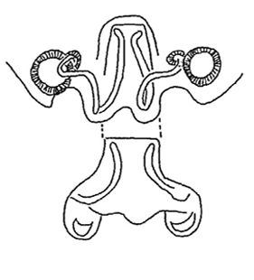 speciesimage
