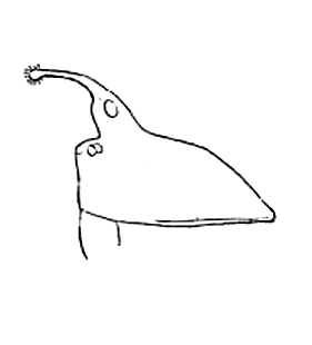speciesimage