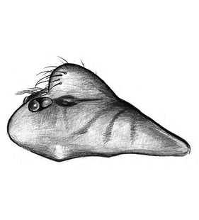 species