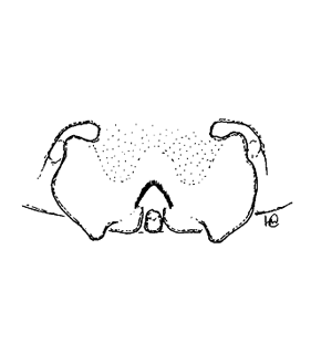 speciesimage