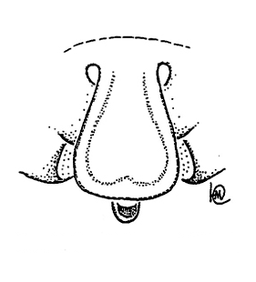 speciesimage