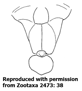 speciesimage