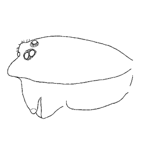 speciesimage