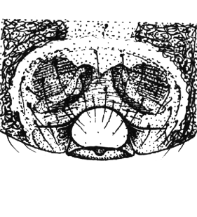 speciesimage