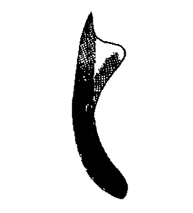 speciesimage