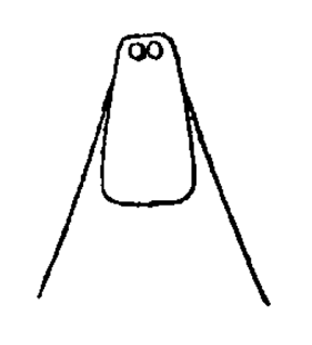 speciesimage