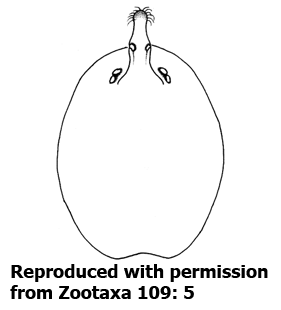speciesimage