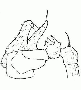 speciesimage