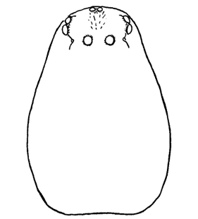 speciesimage