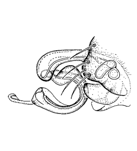 speciesimage
