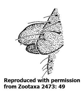 speciesimage