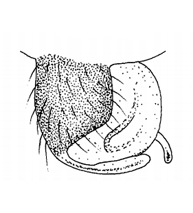 speciesimage