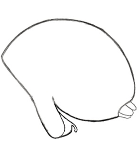 speciesimage