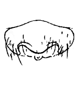 speciesimage