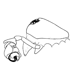 speciesimage