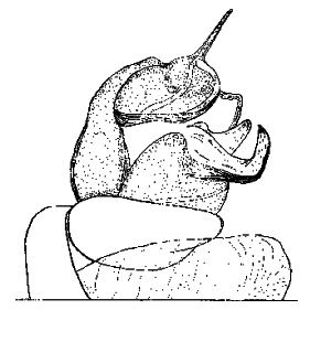 speciesimage