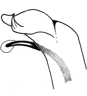 speciesimage