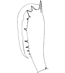 speciesimage