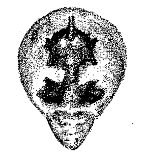 speciesimage