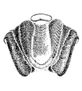 speciesimage