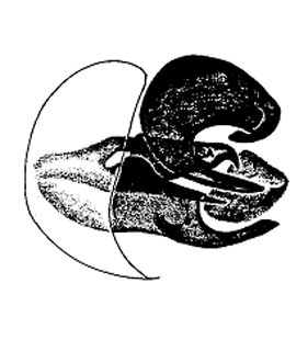 speciesimage
