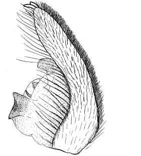 speciesimage