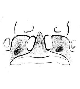 speciesimage