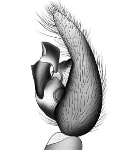 speciesimage
