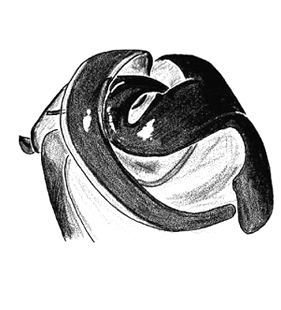 speciesimage