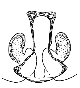 speciesimage