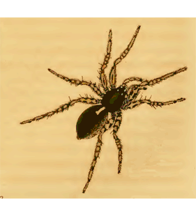 speciesimage