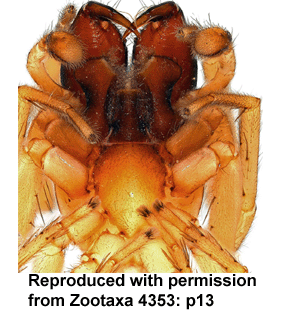 speciesimage