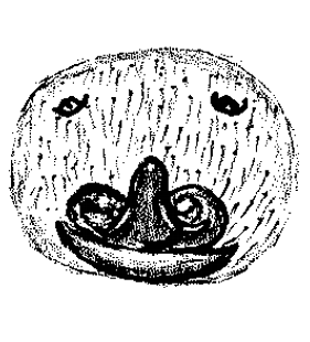 speciesimage
