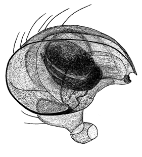 speciesimage