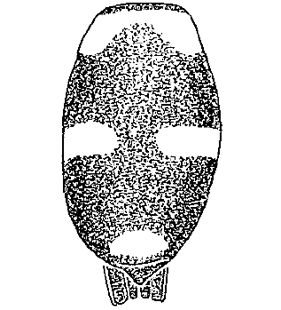 speciesimage