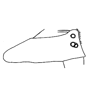 speciesimage