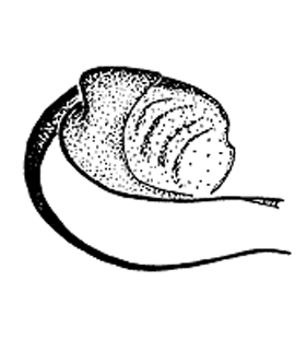 speciesimage