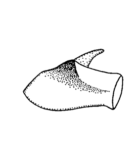 speciesimage
