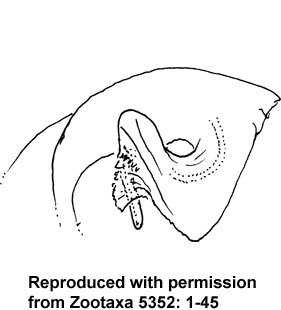 speciesimage