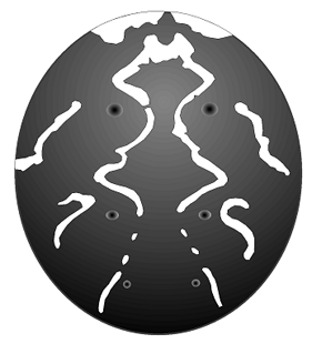speciesimage
