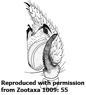 speciesimage