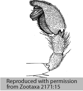 speciesimage