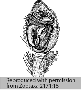 speciesimage